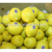 2012 limón chino fresco